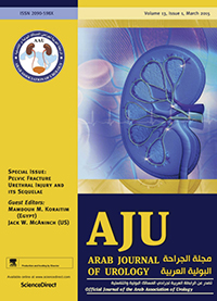 Cover image for Arab Journal of Urology, Volume 13, Issue 1, 2015
