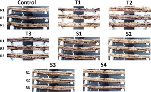 Figure A3. Comparative side views for every replicate (R1, R2 and R3) per design before 3-point bending test.