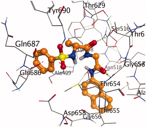 Figure 4. A stereoview showing the active site of the 7g-2Y2G complex. 7g is shown in ball-and-stick model (orange). The amino acids are shown as lines (black). Hydrogen and π-H bonds between 7g and the protein are shown as green and purple dotted lines, respectively.