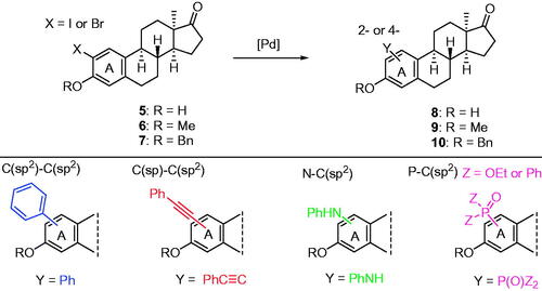 Scheme 2. Pd-catalysed cross couplings of 13α-estrones as aryl halides.