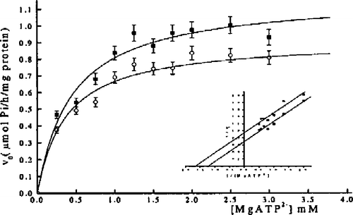 Figure 4 Porcine cerebral cortex Na+/K+-ATPase activity dependence on (MgATP2 − ) in the absence (▪) and presence of 2 × 10− 6 M digoxin (○). The values given are the mean of at least three experiments ± SEM, done in duplicate. The Lineweaver-Burk transformation of the data is shown in the inset. *Taken from ref. [Citation9].