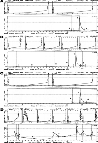 Figure 1 C-18 reversed phase chromatographic (bottom) and spectral (top) profiles of different angiotensin metabolites produced following the reaction of 77 µM Ang-I with: saline-control (A), 77 µM of hydrogen peroxide (1 : 1 molar ratio with respect to Ang-I) (B), 7.7 µM of ferrous-Hb (1:10 molar ratio with respect to Ang-I) (C), and 7.7 µM of Hb reacted with 77 µM of hydrogen peroxide (1:2.5 molar ratio in respect to heme; ferryl-Hb) (D). Chromatographic Fraction Identifiers: 1 = Angiotensin I; 2 = Angiotensin II; 3 = Angiotensin III; 4 = Angiotensin IV; 5 = Angiotensin (1–7) Fragment; 6 = Other angiotensin metabolites; 7 = Heme byproducts; 8 = Oxidative products of the reaction Between Hb and hydrogen peroxide. The reaction conditions and C-18 separation method are described in the Materials and Methods section. The integrator analysis (area %) of the obtained fractions is presented in the Results section.