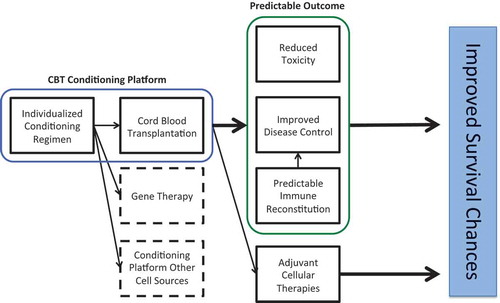 Figure 6. Summarizing figure showing the implications of individualized dosing in the conditioning of hematopoietic cell transplantation.