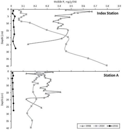 Figure 3. Sediment mobile phosphorus (Fe-P and labile-P) at the Index Station and Station A in Green Lake, WA, in 1998, 2004 (6 months post-alum), and 2015.