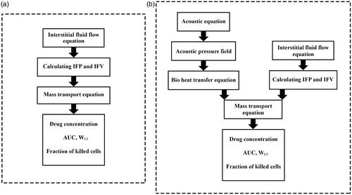 Figure 3. Numerical procedure for (a) conventional IPC modeling and (b) TSL-Dox delivery modeling.