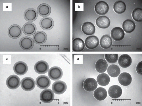 Figure 2. Representative images of GOD-SA-CS/PMCG microcapsules: a) reference sample without oxygen carriers; b) capsules with an emulsion of PDMS 4% (w/w) and PFD 10% (w/w); c) capsules with PDMS 4% (w/w); d) capsules with an emulsion of PDMS 4% (w/w) and DOD 10% (w/w). Digitized images were taken either by an optical microscope (a, c) or a stereomicroscope (b, d) equipped with a digital camera and interfaced to a PC.