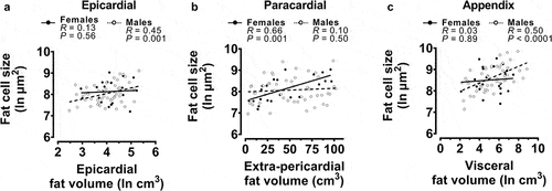 Figure 3. Univariable correlations of fat cell sizes with the related fat volume from the subset of post-mortem cases.