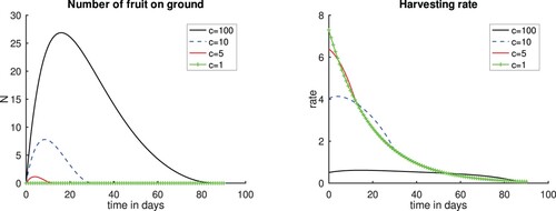 Figure 6. Plots for scenarios varying the cost constant c. Left panel, Number of fruits. Right panel, Harvesting rate. γ=0.1, Nmax=100, c=1,5,10 and 100. Time t = 0 is the time when the first fruits fall to the ground.