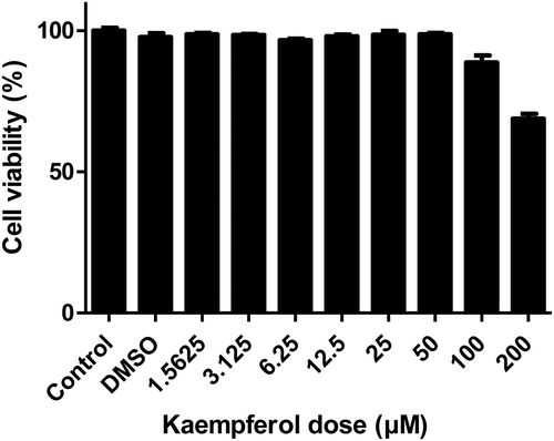 Figure 2. Cytotoxicity of kaempferol on gastric adenocarcinoma cell line AGS.AGS cells were treated with 2-fold serially diluted concentrations of kaempferol (1.5625 to 200 μM) for 24 hours. The cell viability of AGS cells was determined by WST assay. The experiments were conducted in triplicate. Error bars indicate a mean and standard error of the mean.