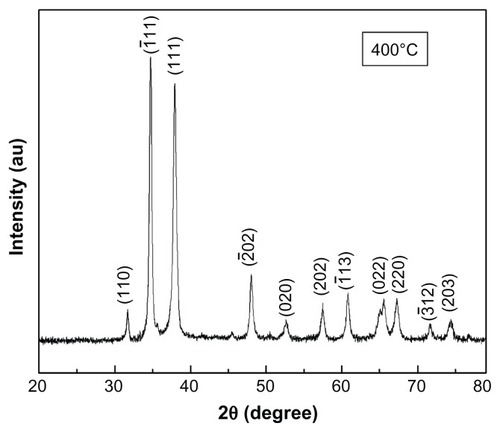 Figure 1 XRD spectra of CuO nanoparticles annealed at 400°C.Abbreviations: XRD, X-ray diffraction; CuO, copper oxide; AU, units of intensity.