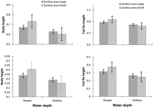 Figure 1 Differences observed at 15 days after the start of the experiment in the morphological variables of Physalaemus albonotatus tadpoles exposed to different water depth and surface areas. The values are means (± SE). The four morphological variables reduce significantly for tadpoles raised in containers with shallow water compared to one with deeper water. Interaction between deeper water and small surface area increased significantly body length.