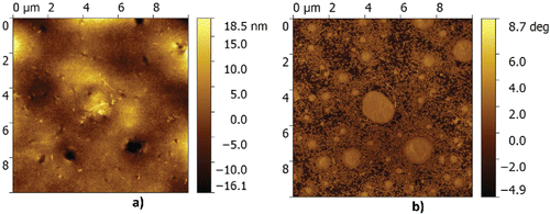 Figure 7. Height (a) and phase (b) image of CaS/M grease contaminated with 40 wt% water.