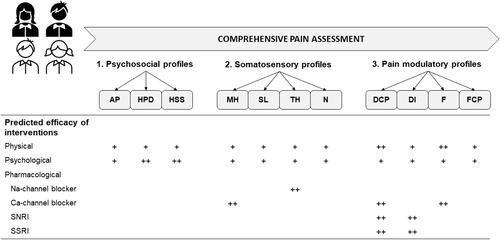 Figure 7 Comprehensive patient pain assessment and rational predicted treatment efficacy. Pain assessment through self-reported questionnaires, quantitative sensory testing and conditioned pain modulation identifies distinct psychosocial, somatosensory, and pain modulatory profiles. Predictions for differential efficacy of treatment approaches across profiles are depicted. + represents beneficial; ++ represents very beneficial.
