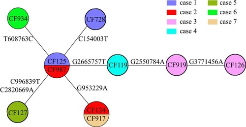 Figure 4 Evolutionary relationships based on MCG typing of ten ESBL-producing K. pneumoniae. Isolates from different cases are indicated in different colors. SNPs are marked on the connecting lines.
