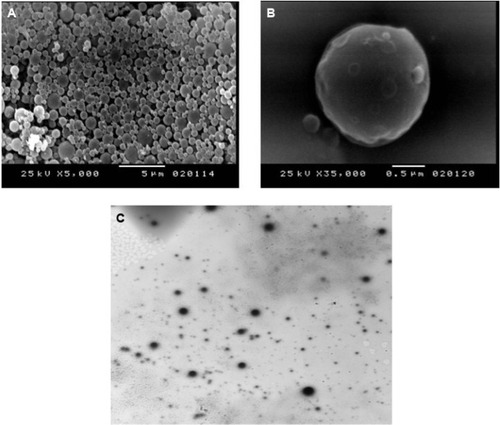 Figure 2 Morphological studies of the selected formulation F9.Notes: (A) Scanning electron photograph of dried nanosponges (×5,000). (B) Scanning electron photograph of dried nanosponges (×35,000). (C) Transmission electron photograph of hydrogel integrating lemongrass oil-loaded nanosponges (×2,500).Abbreviation: f, formulation.