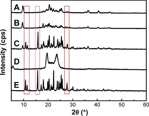 Figure 6 X-ray diffraction patterns of NRG-SLNs (A), blank-SLNs (B), physical mixture of NRG and blank-SLNs (C), GMS (D), and NRG (E).
