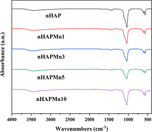 Figure 6 Fourier transform infrared (FT-IR) spectra of nHAP and nHAPMn.