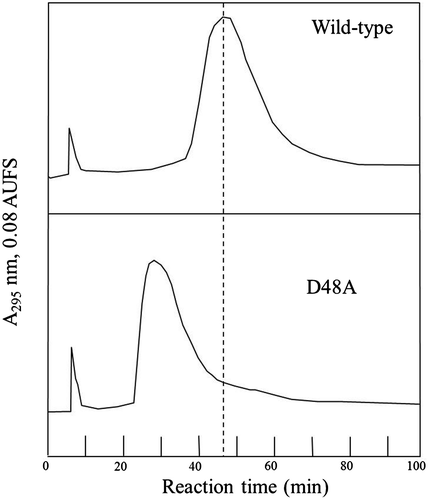 Fig. 2. Comparison of retention times in affinity HPLC performed on a chitin-celite column at 0 °C.