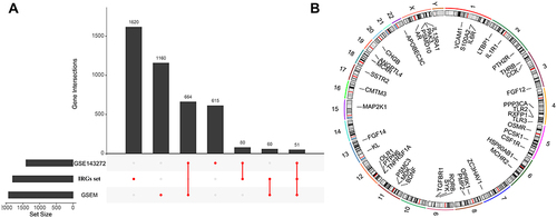 Figure 2 (A) UpSet plot presents the intersection of three datasets. (B) The location of differentially expressed immune-related genes (DEIRGs) on 23 chromosomes.