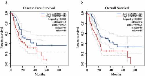 Figure 3. CDC25C expression is negatively associated with the prognosis of PAAD.