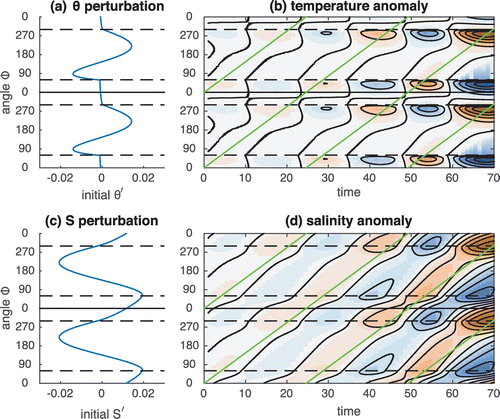 Figure 5. Time evolution of an oscillatory instability. The initial temperature and salinity perturbations from the state C of Case 1 (no applied torque, see Table 1 and Fig. 3) are shown in panels (a) and (c), respectively. Initial perturbations correspond to the most unstable mode, scaled so that the velocity perturbation equals 0.01. Temperature and salinity anomalies as a function of time are shown in panels (b) and (d), respectively. Anomalies are defined as the difference with the distributions of steady state C. As the anomaly signal propagates around the loop, it amplifies exponentially. The phase of the anomaly as predicted by linear theory is shown in green.