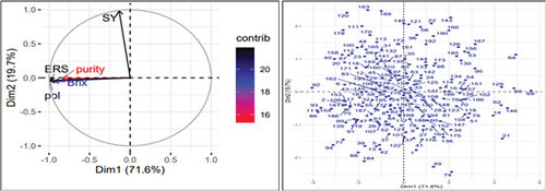 Figure 2. Contributing factor loading plot (a; left hand side) and score plot (b; right hand side) of the 196 sugarcane genotypes based on five biochemical traits.