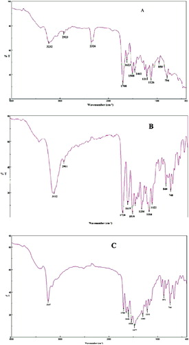 Figure 2. FTIR pattern of biosynthesized TiO2 NPs from (A) Plum, (B) Kiwi and (C) Peach peels extract.