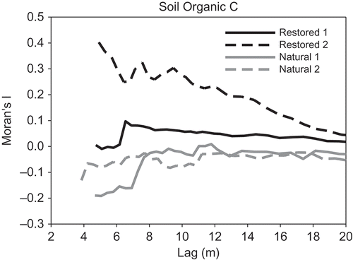 Figure 5. Moran’s I values for soil organic C across lag distances in natural and restored wetlands.