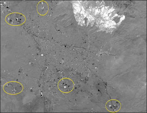 Figure 2. A change detection image of the Tucson, AZ, metropolitan region between May 2003 and June 2004 using band differencing in the MIR spectral region (Landsat TM band 5). Change of interest to this study is noted as the bright or dark polygons throughout the image including the circled areas. This change is attributed primarily to human disturbance such as subdivision home construction. The large, bright area at the top (north) edge of the scene results from change induced by the Aspen fire occurring in the Santa Catalina Mountains during the summer of 2003. A mask was applied to remove areas in excess of 1000 m elevation, thus the fire scar area was not included in the study.