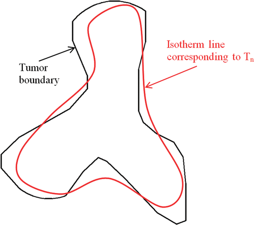 Figure 4. Schematic diagram of the tumor boundary and the isotherm line corresponding to Tn.