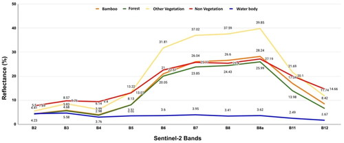 Figure 3. Spectral profile of the five classes bamboo, forest, other vegetation, non-vegetation, and water body.