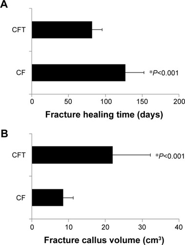 Figure 1 Fracture healing time (A) and callus volume (B) in clavicle fracture alone group and clavicle fracture and concomitant TBI group were based on clinical and radiological examinations at 1, 2, 4, 8, 12, 16, 20, and 24 weeks after trauma.