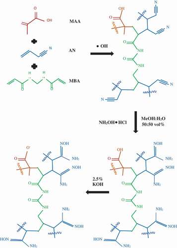 Figure 1. Most probable reactions taking place during the amidoxime polymer particles synthesis.