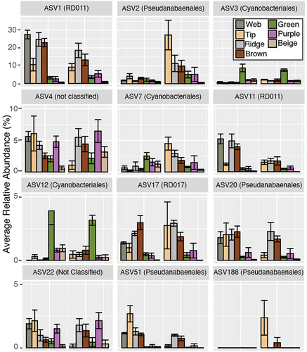 Figure 3. Relative abundance of Cyanobacteria. The six most abundant orders are indicated. Less abundant orders are grouped into the “other” category. Samples are separated by depth, with 19-m samples on the left and 31-m samples on the right, and by feature (indicated by gray bars).