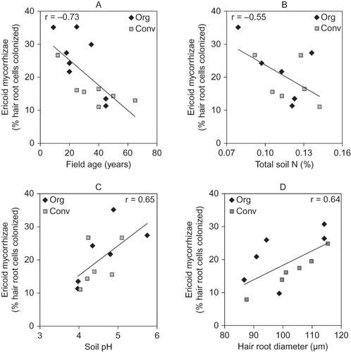 FIGURE 4 Correlation between ericoid mycorrhizal colonization and (A) field age, (B) total soil nitrogen, (C) soil pH, and (D) hair root diameter in organic (Org) and conventionally (Conv) managed blueberry fields on sandy soils, n = 12 [sand and muck soils in (A), n = 16] in Michigan.