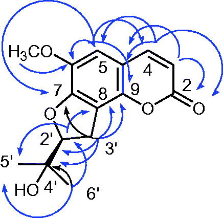 Figure 2. Main HMBC correlations of compound 11.