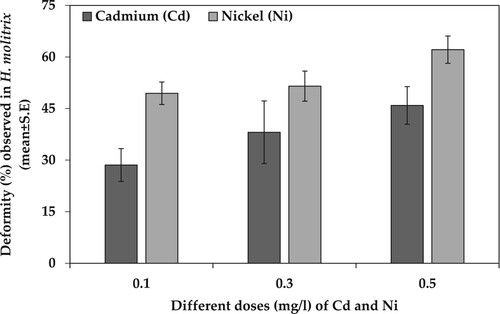 Figure 1. Deformity (%) observed in H. molitrix (mean ± SE) when exposed to different doses of Cd and Ni toxicity for 168 hph.