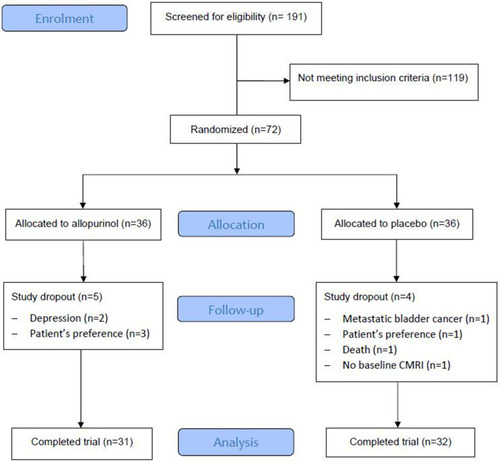 Figure 1 CONSORT diagram showing participant flow through the study.