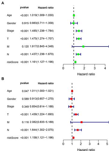 Figure 5 Univariate and multivariate Cox regression analysis of the risk model and clinicopathologic parameters (A-B).