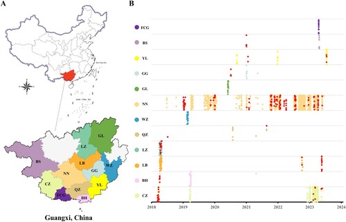 Figure 1. swIAVs identified in 12 prefectures of Guangxi in 2018–2023. (A) The location of the Guangxi Autonomous Region in China. (B) The 12 prefectures in Guangxi from which samples were collected from pigs for this study are shown in the colours used in panel B. The two prefectures shown in grey were not sampled. The prefecture’s two-letter acronyms are identical to those listed in Table 1. Each coloured circle represents a single clinical sample obtained from pigs for this study. The swIAV-positive samples in all locations are coloured in red.