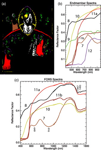 Figure 3. Maps and spectra of the brown, white, flesh tone, yellow, red, and black endmembers. (A) Endmember map representing the (B) endmember spectra; (C) associated FORS spectra from sites defined by the maps. The maps and site analysis find the brown cloak (7) is painted with an iron oxide pigment, the white robes (8) are lead white, yellow areas (10) are similar spectrally and are lead-tin yellow, the red robes (11a, 11b) are red lead but shading with a dark pigment underneath is also found in the robe of the lower left apostle. A black outline on the halos (12) shows a spectrum indicative of an iron-based ink.