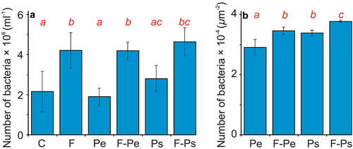 Figure 3. The number of bacteria in water (A), and on the MPs’ surface (B) at the end of the experiments (mean ± 1SD) in all of the treatments. Statistically significant differences between treatments are denoted with different letters.