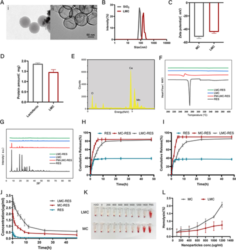 Figure 1 Characterization of Nanoparticles. (A) TEM images of SiO2 (i) and LMC (ii). (B) Distribution of particle size on SiO2 and LMC in PBS (pH 7.2). (C) Zeta potential of MC and LMC in PBS (pH 7.2). (D) Lactoferrin content in LMC. (E) Elemental distribution energy spectrum of MC. (F) The DSC patterns of LMC, LMC-RES, PM-LMC-RES and RES. (G) The PXRD analysis of LMC, LMC-RES, PM-LMC-RES and RES. (H) Drug release profiles of MC-RES, LMC-RES and RES at pH 7.2. (I) Drug release profiles of MC-RES, LMC-RES and RES at pH 5.4. (J) The plasma concentration-time curve of MC-RES, LMC-RES, and RES. (K and L) Hemolysis test of MC and LMC. All data are expressed as mean ± SD (n = 3).