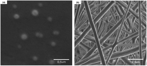 Figure 1. SEM images of (a) mPEG-PLA NPs and (b) mPEG-PLA electrospun NFs.