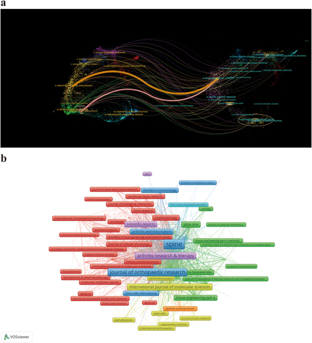 Figure 3. Journal analysis on immune cells in disc degeneration. (a) the dual-map overlay of journals in WOSCC. Citing journals are on the left, while cited journals are on the right. Colored paths indicate citation relationships. In this area, one pink primary citation path and one orange primary citation path are defined. The orange path suggests that publications in Molecular/Biology/immunology journals typically cite publications in Molecular/Biology/Genetics journals. In addition, the pink path represents that publications in Neurology/Sports/Ophthalmology journals usually cite publications in Molecular/Biology/Genetics journals. (b) the journal network graph in WOSCC. The size of the nodes indicates the number of journal publications, the thickness of the connections between the nodes reflects the strength of cooperation between the journals, and the color of the nodes corresponds to the clustering of the different journals, with nodes of the same color belonging to the same cluster.