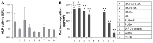 Figure 4 Osteogenic differentiation of human MSCs was characterized by (A) ALP activity and (B) calcium deposition. The human MSCs were cultured with the materials as listed in the column.Notes: Data are presented as the mean ± standard error of the mean (n = 3). No statistical difference was found for ALP activity. For calcium deposition, *P < 0.05 compared with glass and PSTC (8 and 9), **P < 0.05 compared with PLGA-P and PLGA (5 and 6), and #P < 0.05 compared with DIF-7c peptide (7).Abbreviations: ALP, alkaline phosphatase; HA, hydroxyapatite; PLGA, polylactide-co-glycolide; P, peptide; MSC, mesenchymal stem cells; DIF-7c, bone morphogenetic protein (BMP-7)-derived short peptide; Ps, peptide loaded by aminosilane chemistry.