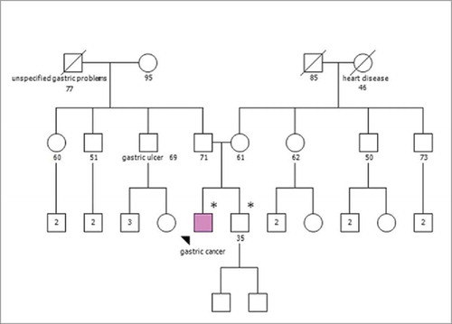 Figure 4. Pedigree of the individual's family. Squares indicate males; circles indicate females. Solid symbol indicates the gastric cancer patient. Symbols with a slash indicate deceased individuals. The numbers below squares and circles indicate age at the time family members were analyzed. Number inside a symbol indicate number of children. An asterisk (*) marks the examined individual found to carry the germline CDH1 mutation.
