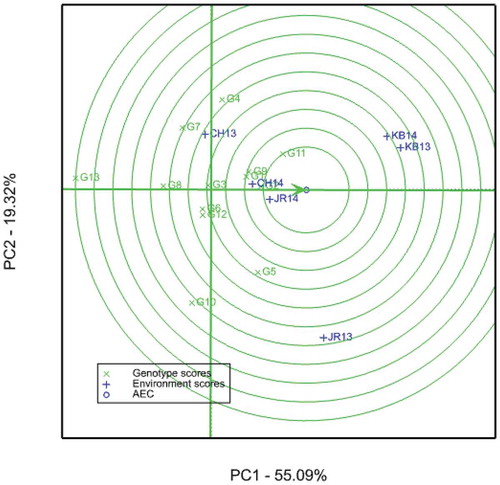 Figure 3. GGE biplot of sorghum genotypes on 6 environments using genotype-centered scaling. CH13 = Chefa 2013, CH14 = Chefa 2014, JR13 = Jari 2013, JR14 = Jari 2014, KB13 = Kobo 2013, KB14 = Kobo 2014. Abbreviations of genotypes are given in Table 2