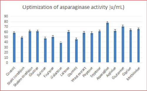 Figure 2. Asparaginase activity produced by Bacillus subtilis grown under different culture conditions