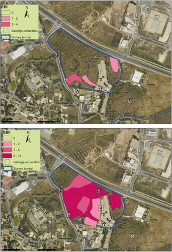 Figure 7 The Me‘ona site, survey results and location of salvage excavations.